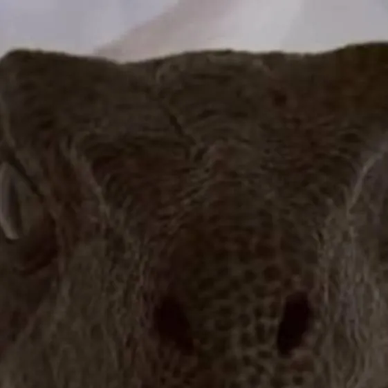 chat with ai character: Velociraptor gang 