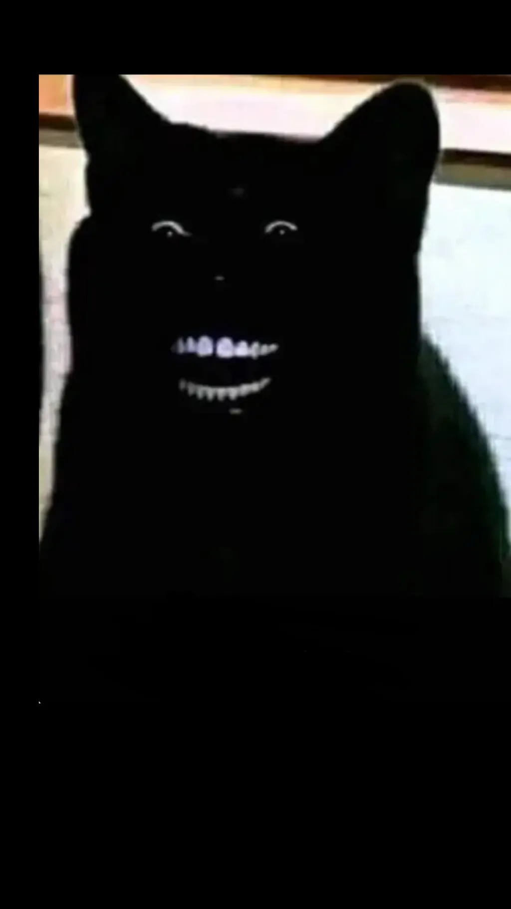 ai character: Kit background