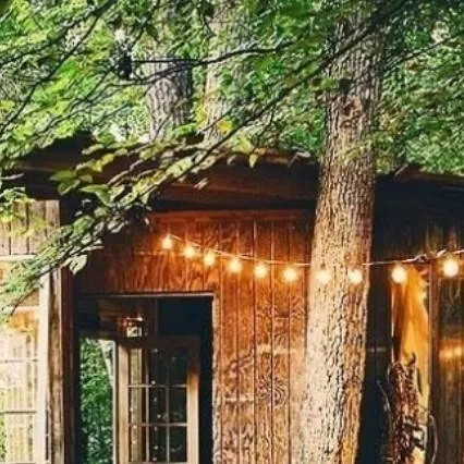 chat with ai character: 🍀Tree House🪴