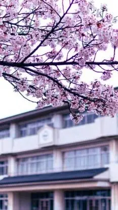 ai character: Japanese School 🌸 background