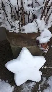 ai character: ♡FORSAKEN✦ background