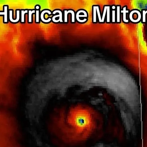 chat with ai character: Hurricane Pick me