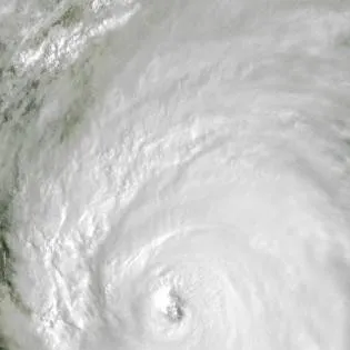 chat with ai character: Hurricane Family