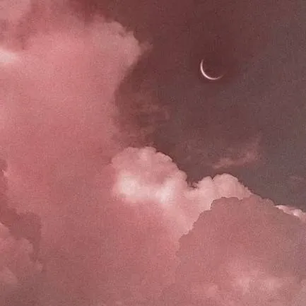 chat with ai character: NB Ocs!! 🩷