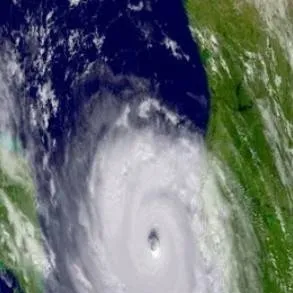 chat with ai character: HC Family BUT.. 