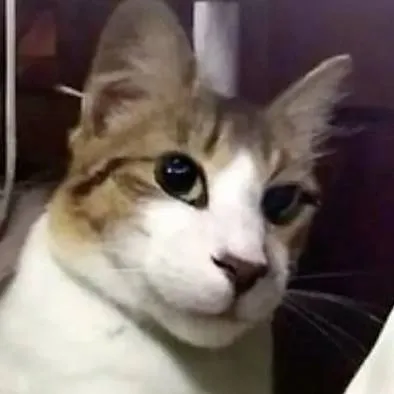 chat with ai character: random