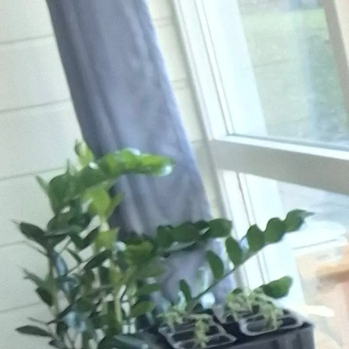 chat with ai character: big hero six 