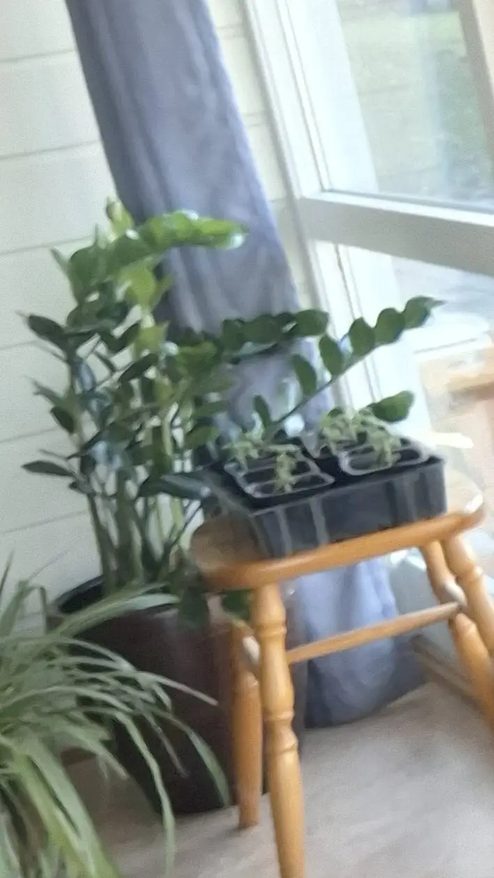 ai character: big hero six  background