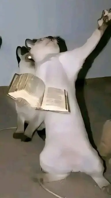 ai character: GATO BIBLICO background