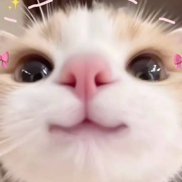 chat with ai character: ¡☆ESPECIAL☆!