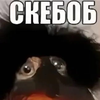 chat with ai character: СКЕБОБ