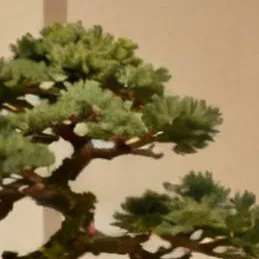 chat with ai character: Otoro  Ronshsku