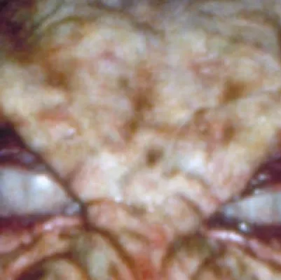 chat with ai character: Pumpkinhead 