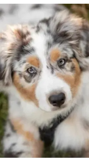 ai character: Infected  background