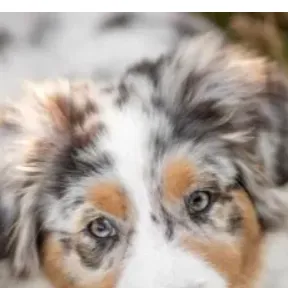 chat with ai character: Infected 