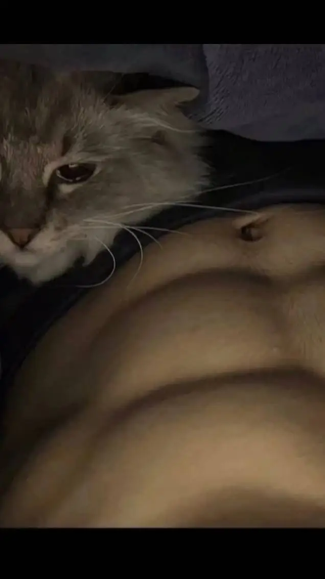 ai character: Liam tu dueño 7u7  background