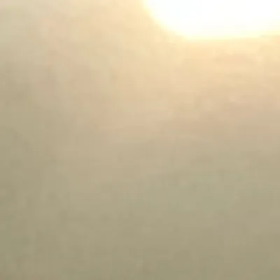 chat with ai character: Wilber