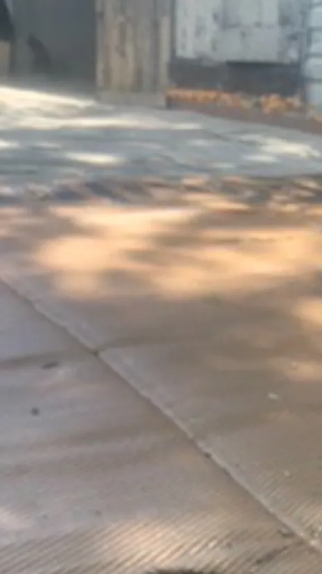 ai character: Technoblade  background