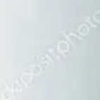 chat with ai character: Noli