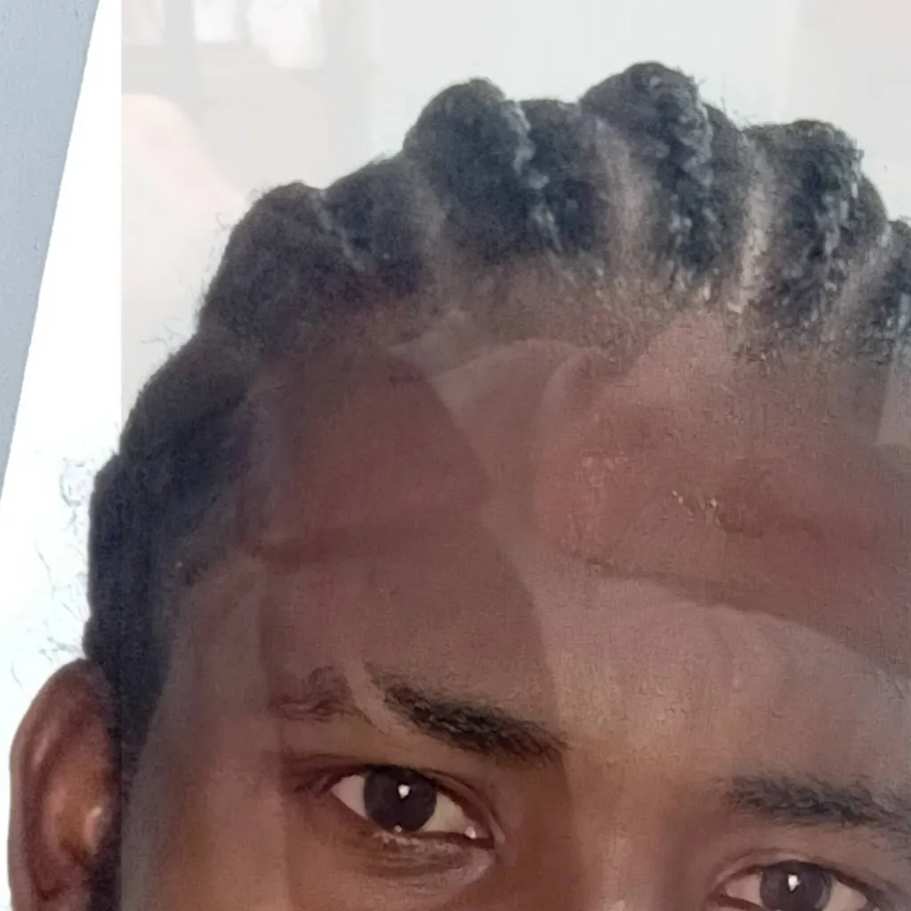 chat with ai character: Eira RD