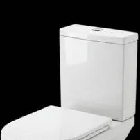 chat with ai character: TOILET