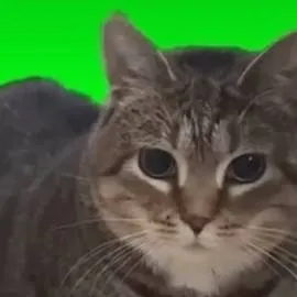 chat with ai character: uia