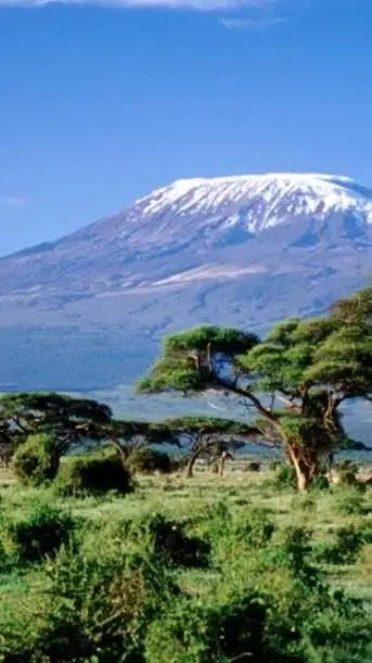 ai character: talking infância background