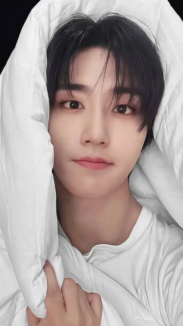 ai character: Han jisung background