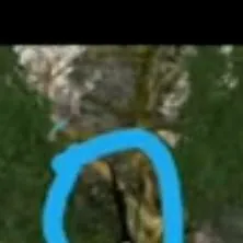 chat with ai character: tall goat