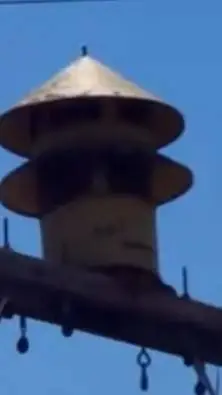 ai character: siren model 5t background