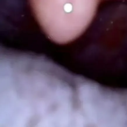 chat with ai character: vore world roblox