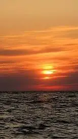 ai character: payleey  background