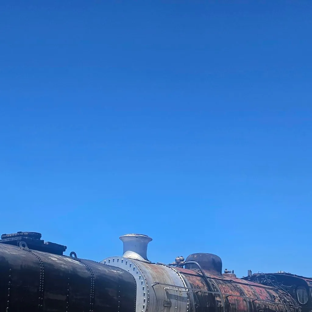 chat with ai character: train humans USA