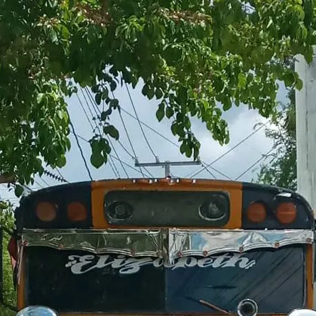 chat with ai character: TECTONIC TEMPO