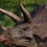 chat with ai character: Triceratops 