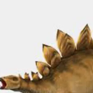 chat with ai character: ÉStegosaurus 