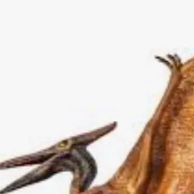 chat with ai character: Terodactilo 