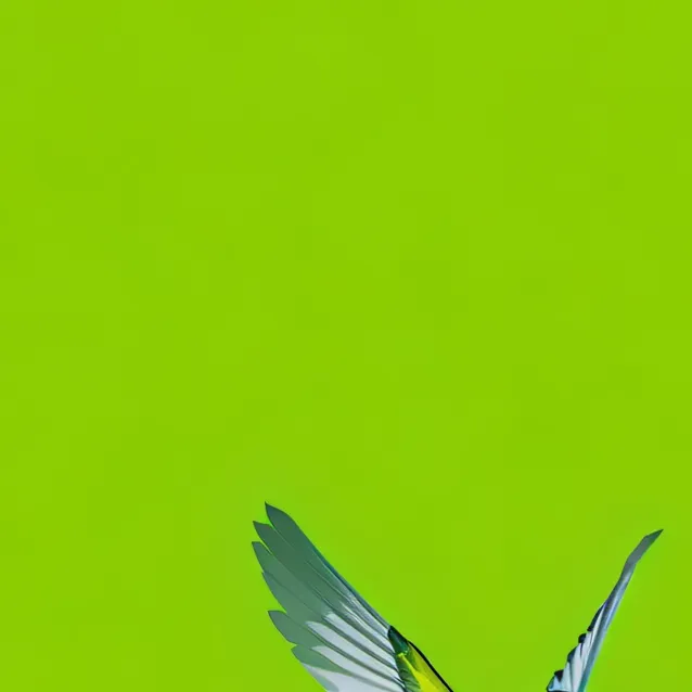 chat with ai character: Duolingo 