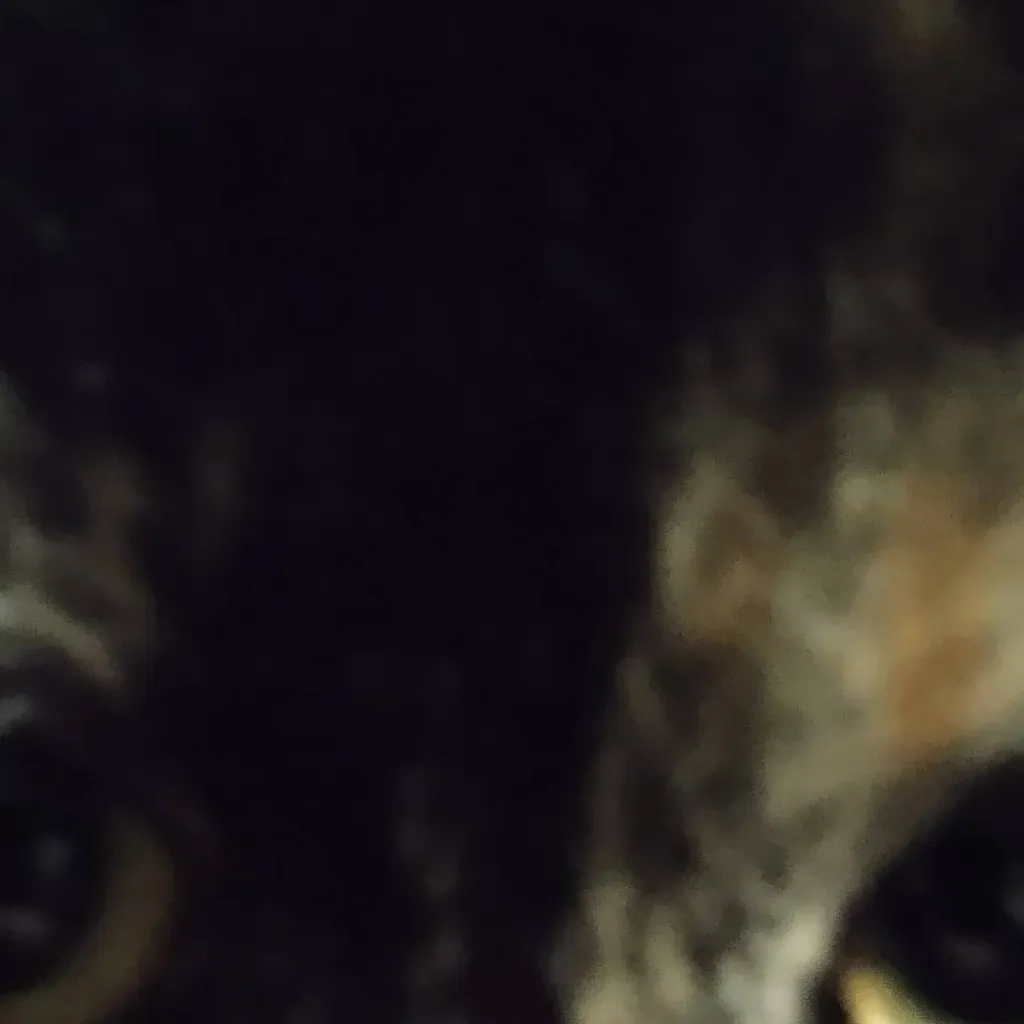chat with ai character: The Battle Cats