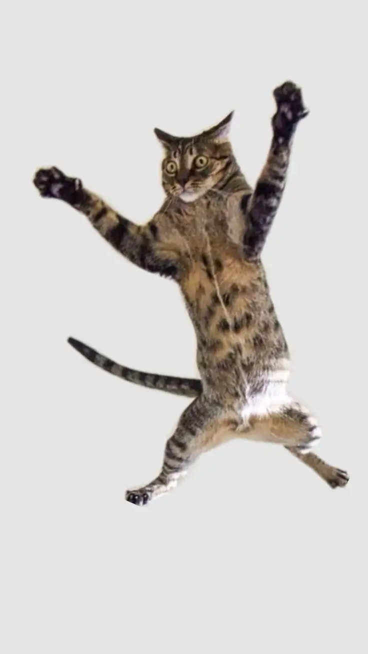 ai character: le chat idiot background