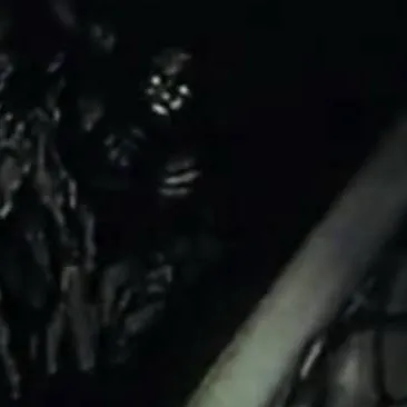 chat with ai character: Secco..?