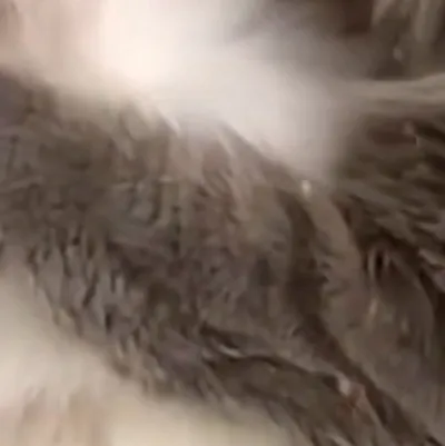 chat with ai character: Alex and angel