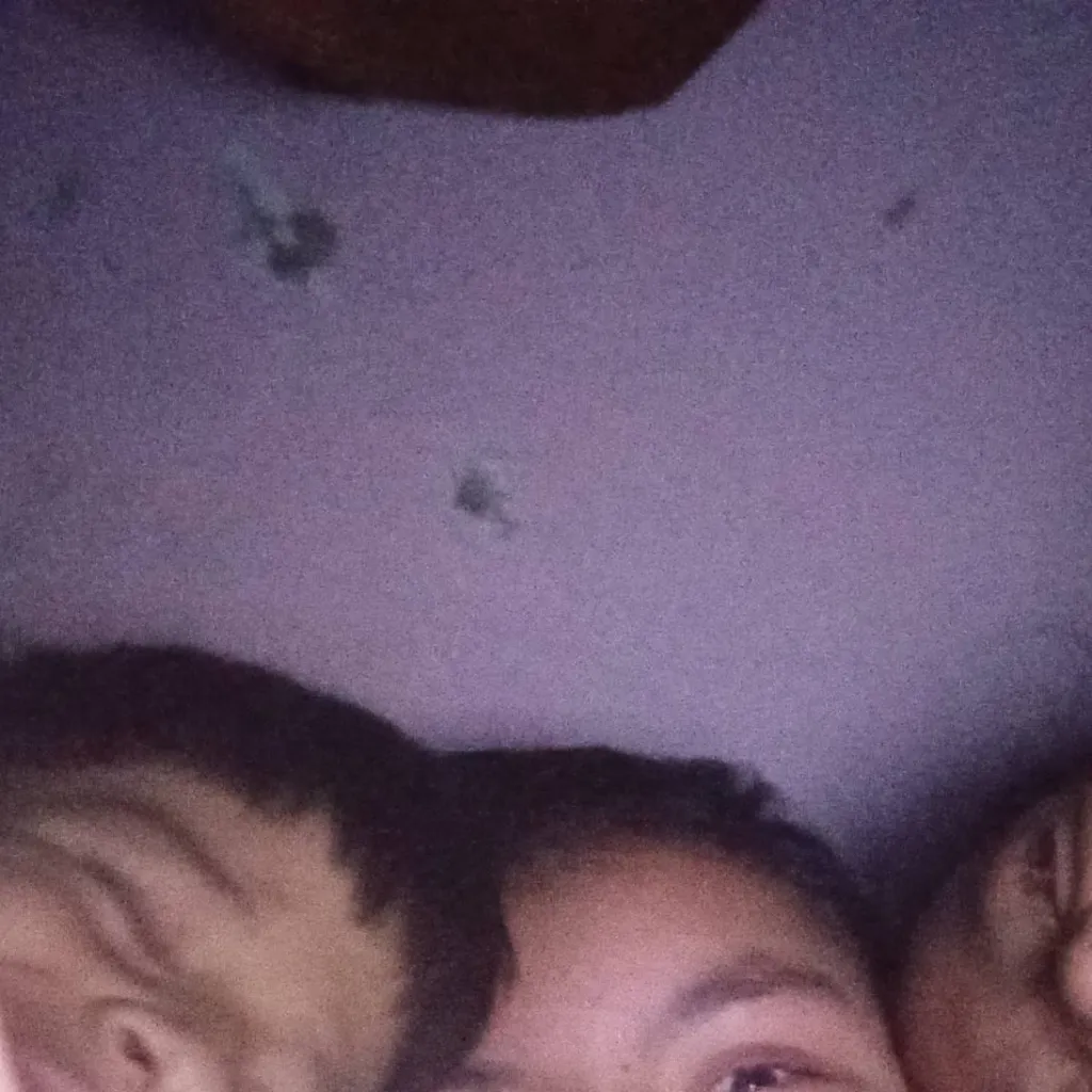 chat with ai character: casa de la aduela