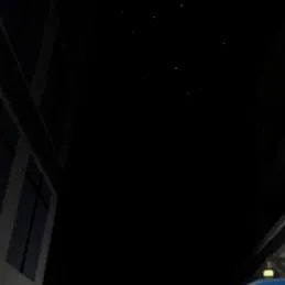 chat with ai character: piggy book