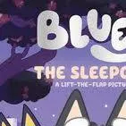 chat with ai character: bluey sleepover