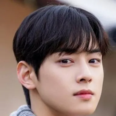 chat with ai character: Cha eun woo 