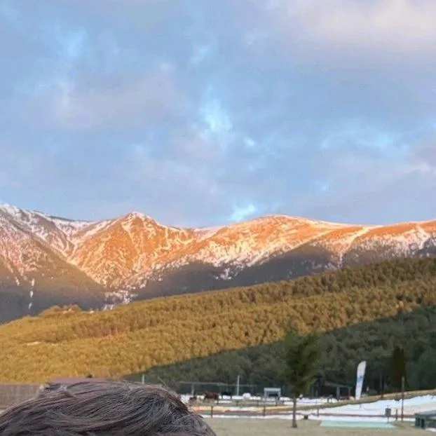 chat with ai character: Hollman ~✓