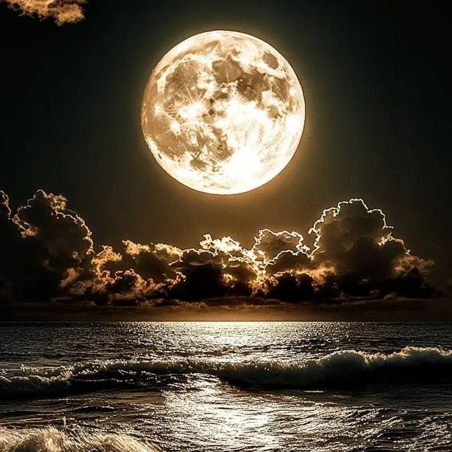 chat with ai character: sfida