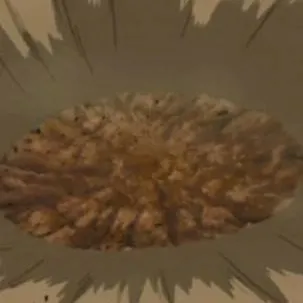 chat with ai character: Naruto Shippuden 