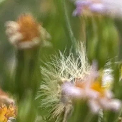 chat with ai character: Ryder Lyons 